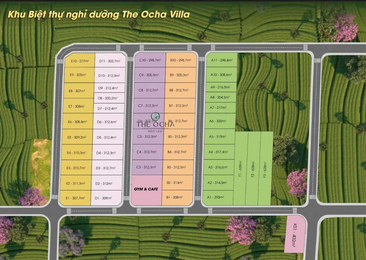 Mặt bằng Phân lô Dự án The Ocha Bảo Lộc Mặt bằng Phân lô Dự án The Ocha Bảo Lộc