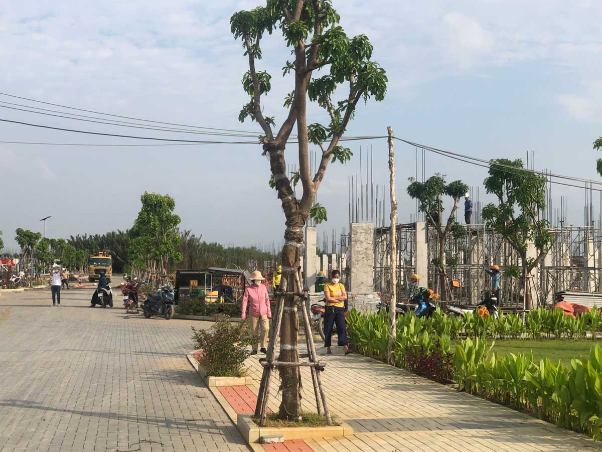 Elite Life Long Hậu Long An Tien do thi cong Du An Elite Life Long An moi nhat - Elite Life Long Hậu Long An