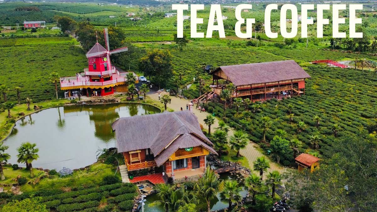 Tiện ích Dự án The Ocha Bảo Lộc Tiện ích Dự án The Ocha Bảo Lộc